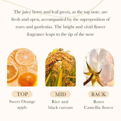 Rice Moisturizing Shampoo Hair Strengthening Shampoo For Hair Cleansing Brittle And Dry Hair Moisturizer For Dry Oily Hair For