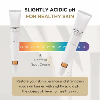 Korean Skin Care Sets Facial Repair Spot Cream and Anti-aging Reduce Fine Lines, Dark Circles Eye Cream Skincare Beauty Products